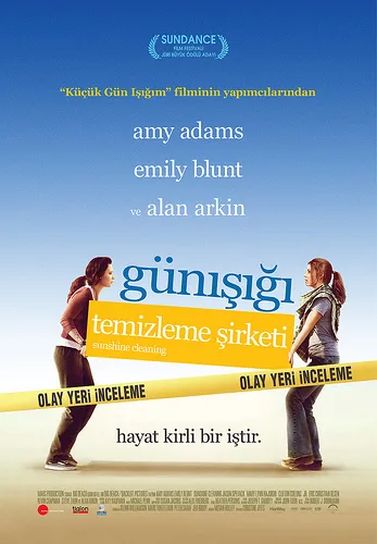 Günışığı Temizleme Şirketi