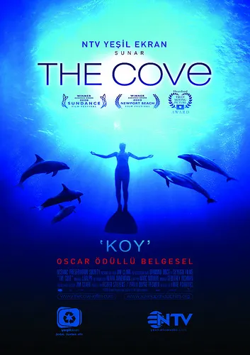 Koy