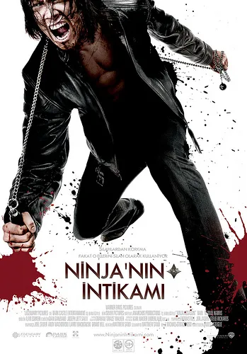 Ninjanın İntikamı