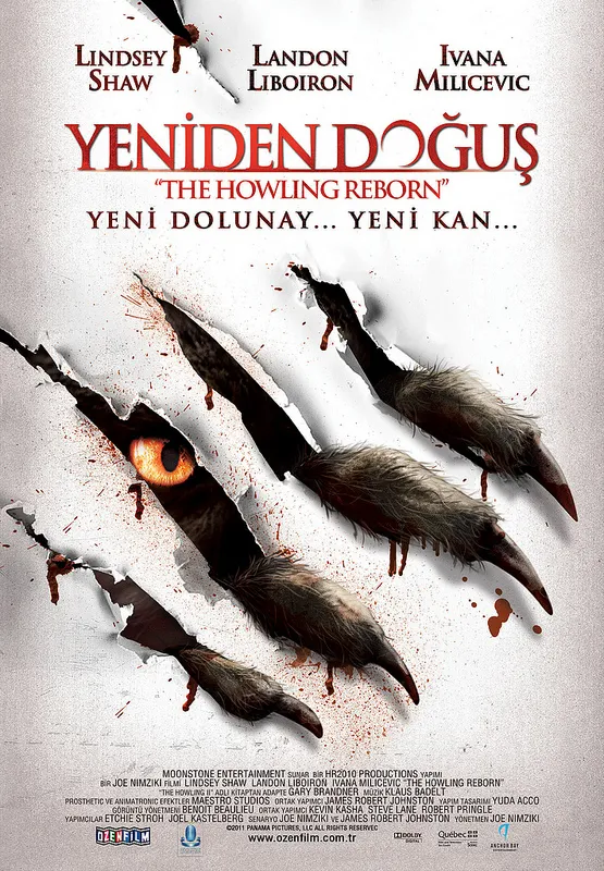 Yeniden Doğuş