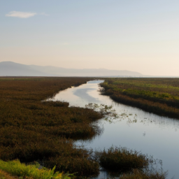 Dilek Yarımadası Büyük Menderes Deltası Milli Parkı