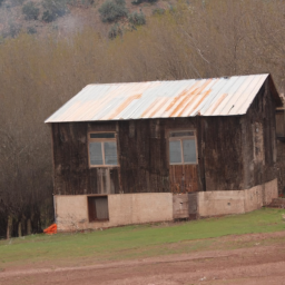Doğal yaşam tarzı ve minimalist evler