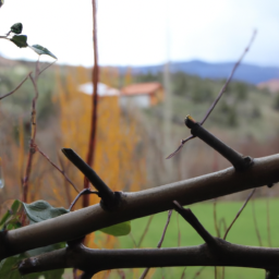 Doğal cilt bakımı ürünleri nelerdir?