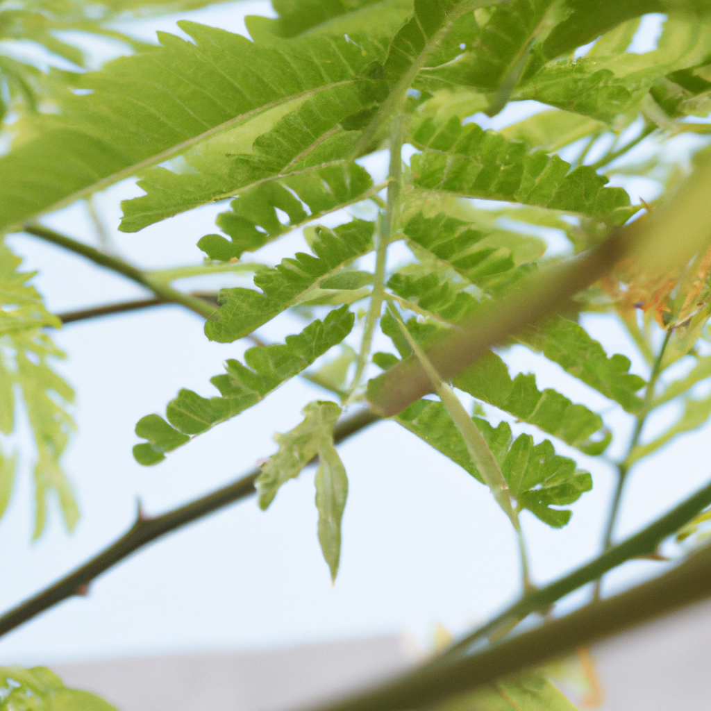 Nörolojik Bozuklukların Tedavisi: Alternatif Yaklaşımlar