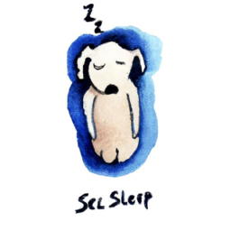 Pilates ile daha kaliteli bir uyku