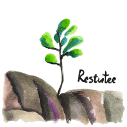 Psikolojik İyileşme Süreçleri