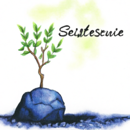 Stres Yönetimi Teknikleri