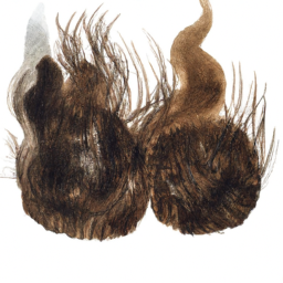 Saçlarda Oluşan Kırık ve Yıpranmalar İçin Bitkisel Tedaviler